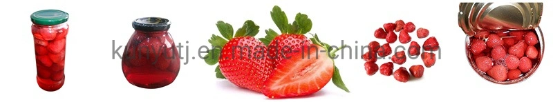 Canned Fruit Canned Strawberry in Light Syrup with Best Service
