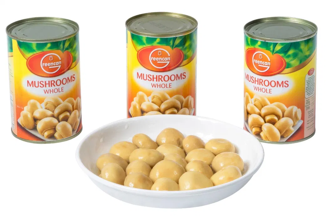 Chinese Top Quality Health Food Canned Mushroom Whole