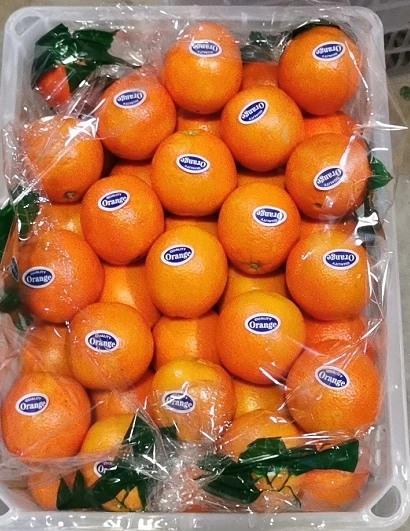 Premium Fresh Oranges - Big Orange Fruits Best Price Offer Mandarine