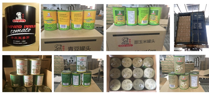 Green Vegetables in Tin Packing Canned Food Mushroom