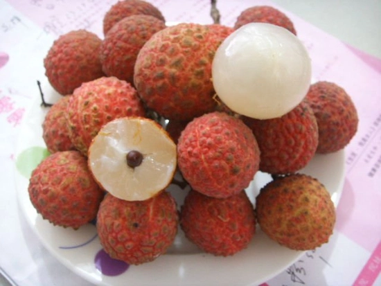 567g 850g 3000g Canned Fruits Lychee