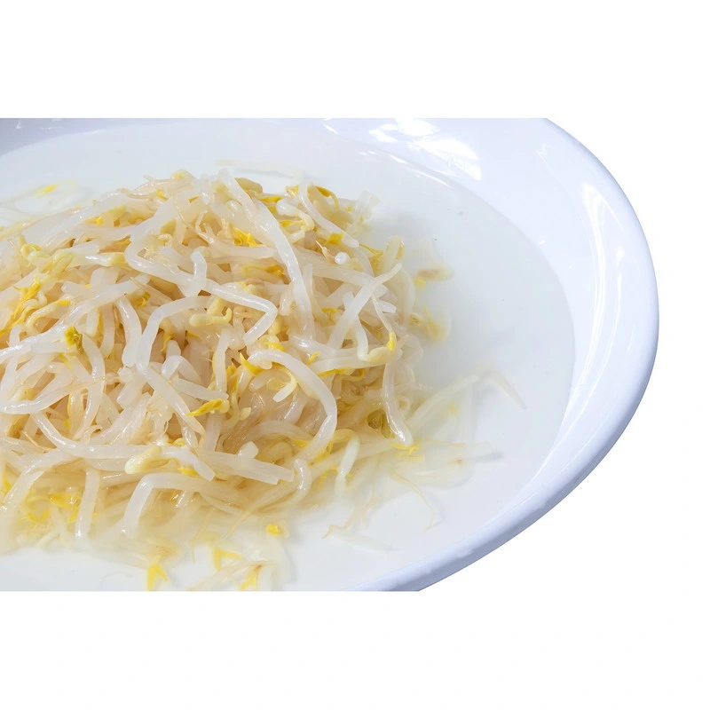 Canned Vegetables Fresh Bean Sprouts with Private label
