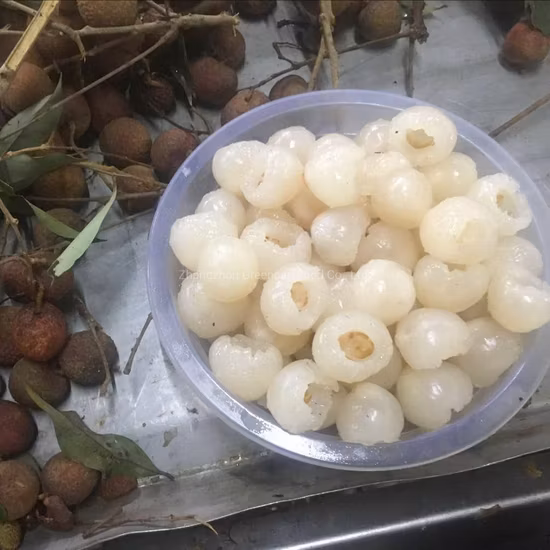 567g Health Fresh Fruit Canned Lychee in Syrup