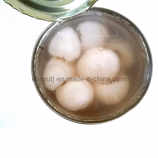 Canned Litchi Fresh Canned Lychee Whole in Light or Heavy Syrup